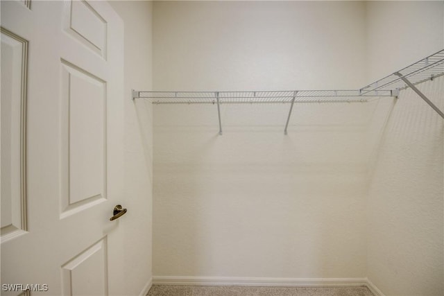 view of walk in closet