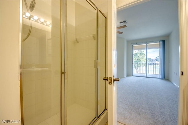 bathroom with an enclosed shower