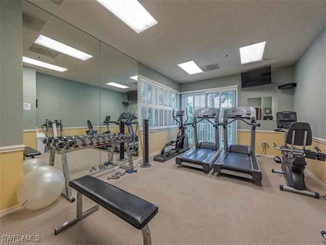 workout area with carpet flooring