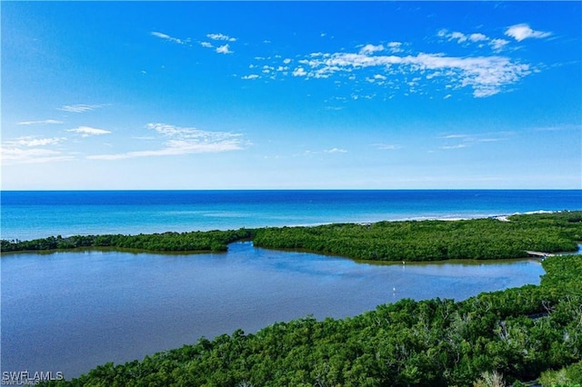 property view of water