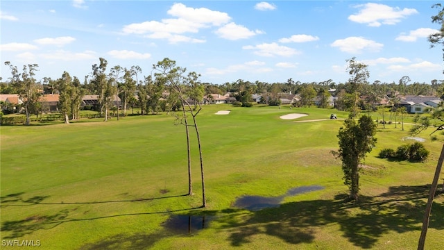 view of home's community with a yard