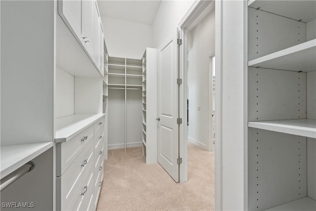 walk in closet with light carpet