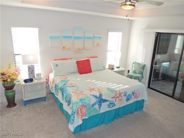 bedroom featuring a raised ceiling, ceiling fan, and carpet