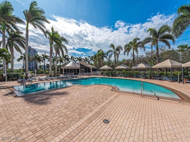 view of pool featuring a patio area