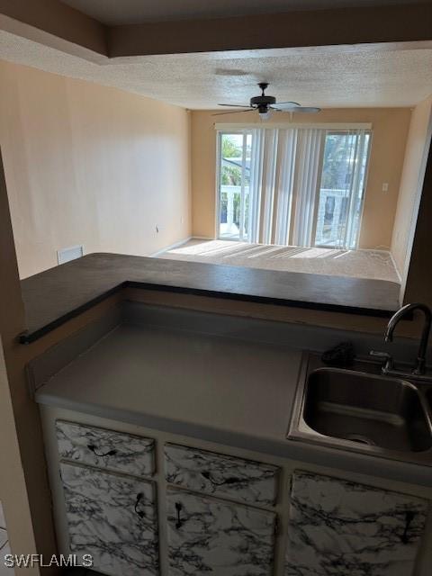 kitchen featuring ceiling fan, sink, and a textured ceiling