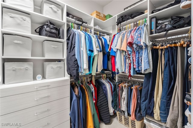 spacious closet featuring carpet