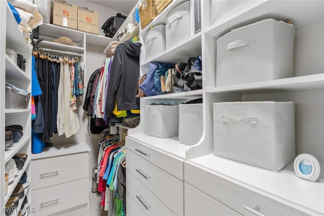 view of walk in closet