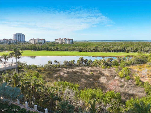 23850 Via Italia Cir Unit 406, Estero, FL 34134 - view of water feature