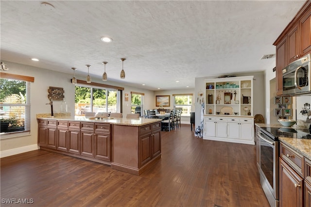 kitchen featuring pendant lighting, appliances with stainless steel finishes, dark hardwood / wood-style flooring, and plenty of natural light