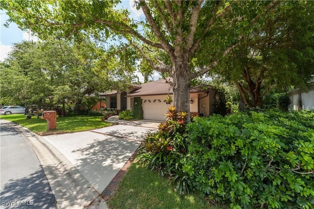 5960 Grey Fox Run, Fort Myers, FL 33912 - view of property hidden behind natural elements featuring an attached garage, driveway, a front yard, and stucco siding