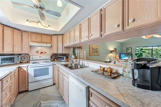 kitchen featuring ceiling fan, sink, white appliances, a tray ceiling, and ornamental molding