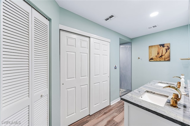 bathroom with vanity and wood-type flooring