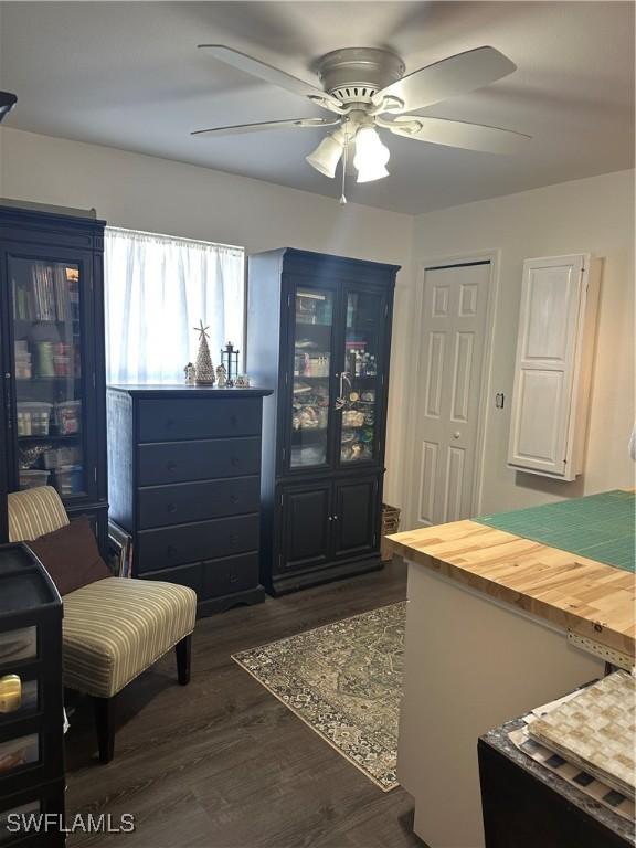 interior space featuring ceiling fan and dark hardwood / wood-style floors