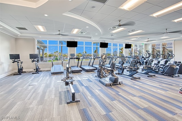 workout area featuring carpet flooring, ceiling fan, and a drop ceiling