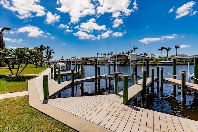 dock area with a water view