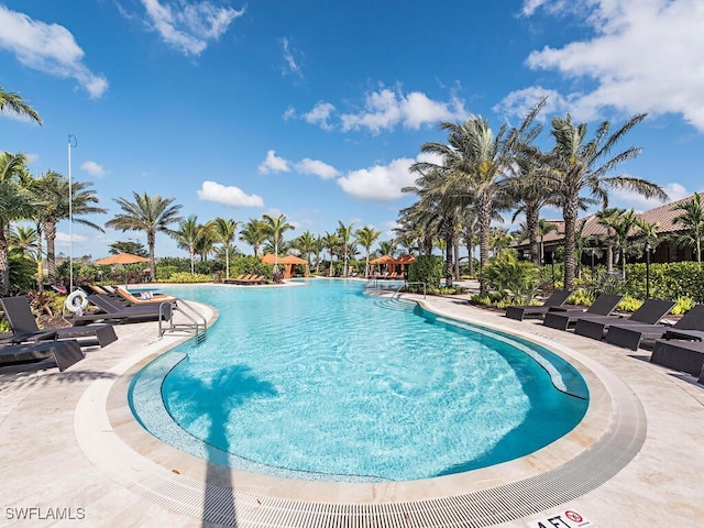 view of pool with a patio