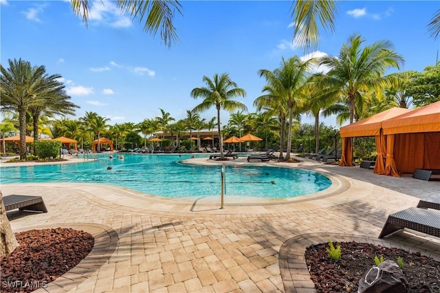 view of swimming pool featuring a patio area