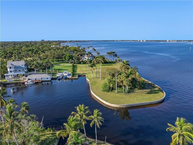 bird's eye view with a water view