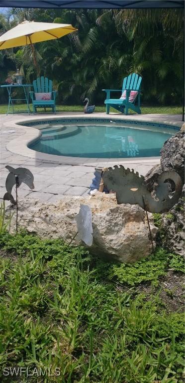 view of pool with a patio