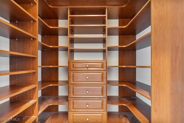 view of spacious closet