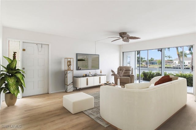 living room with ceiling fan and light wood-type flooring