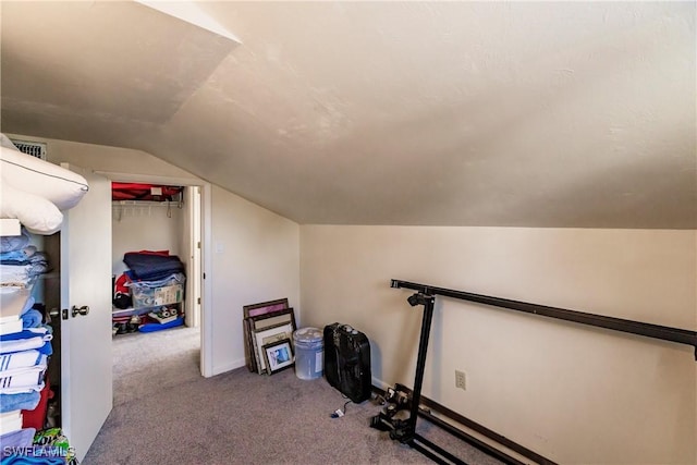 additional living space featuring lofted ceiling and carpet floors