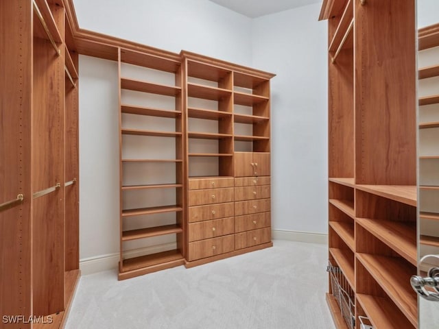 walk in closet with carpet floors