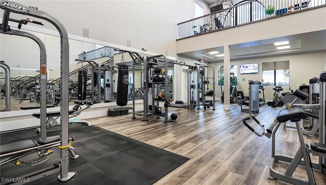 exercise room featuring a towering ceiling and hardwood / wood-style flooring