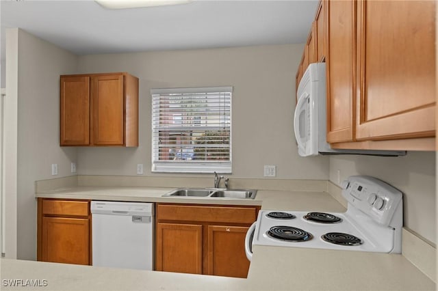 kitchen featuring brown cabinetry, white appliances, light countertops, and a sink