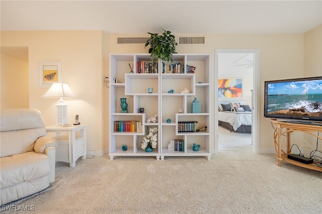 sitting room with carpet