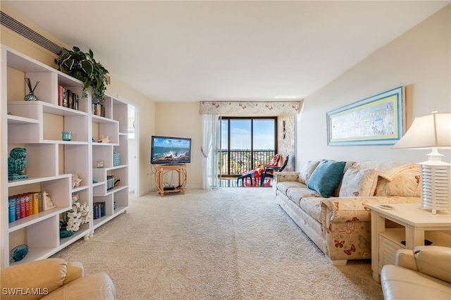 living room featuring carpet