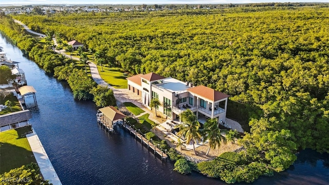 bird's eye view featuring a water view