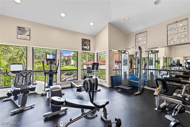 workout area featuring high vaulted ceiling