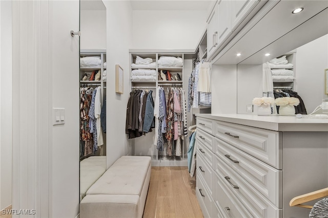 spacious closet featuring light hardwood / wood-style flooring