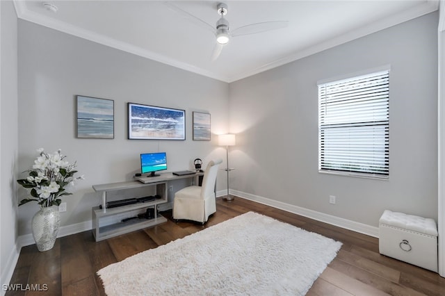 office with crown molding, dark hardwood / wood-style flooring, and ceiling fan