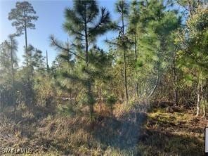 2804 E 11th St, Lehigh Acres FL, 33972 land for sale