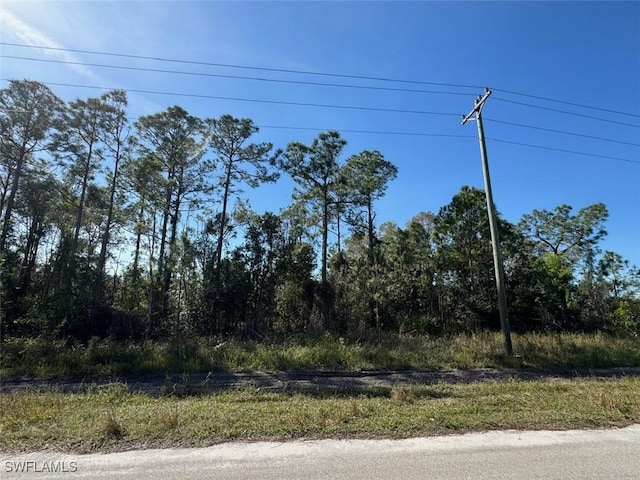 Listing photo 3 for 2402 Meadow Rd, Lehigh Acres FL 33974