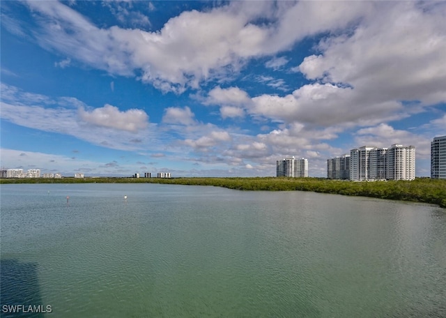 1 Bluebill Ave Unit 503, Naples, FL 34108 - water view with nearby urban area