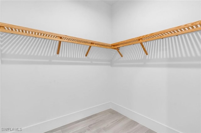 walk in closet featuring hardwood / wood-style floors