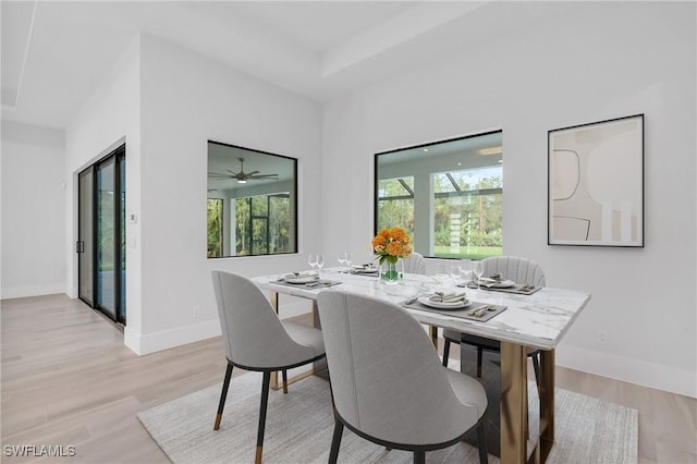 dining space featuring light hardwood / wood-style floors and ceiling fan