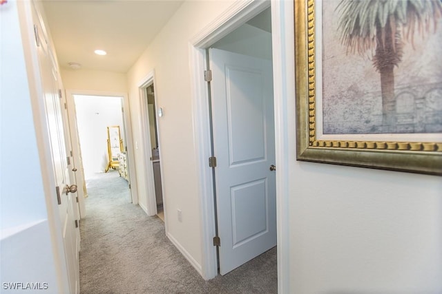 hallway with carpet flooring