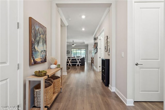 corridor featuring hardwood / wood-style flooring and crown molding