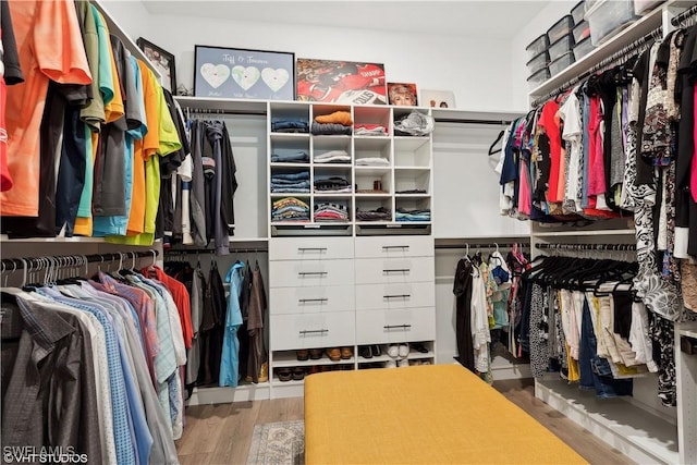 walk in closet with hardwood / wood-style floors