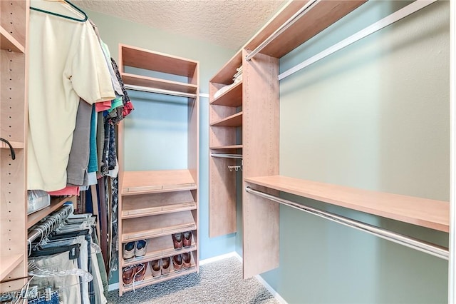 spacious closet with carpet floors