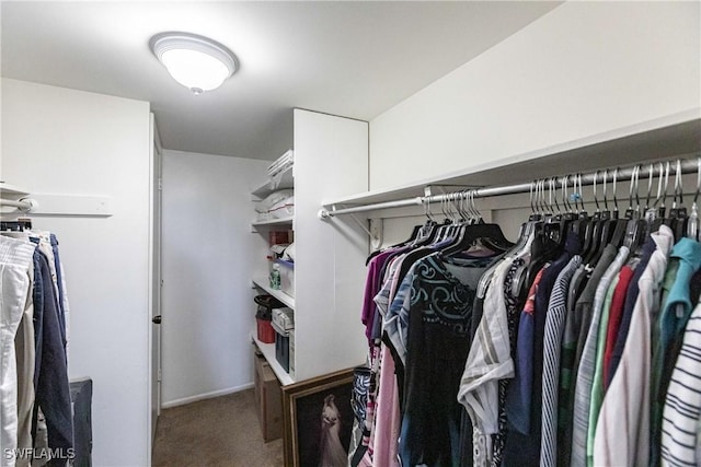 spacious closet with carpet floors