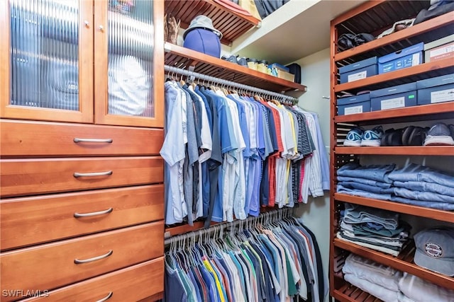 view of spacious closet