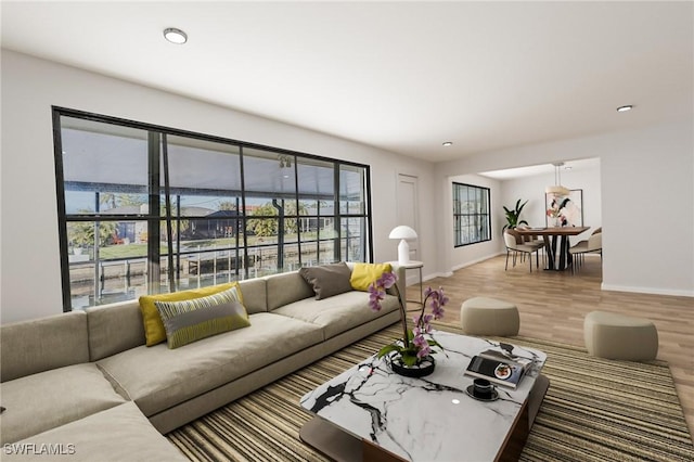 living room with hardwood / wood-style floors