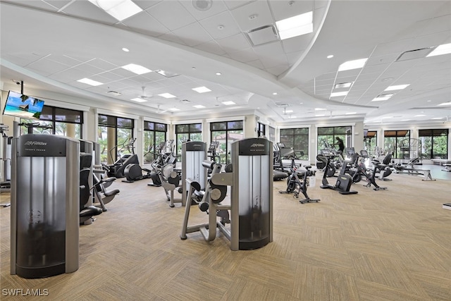 exercise room with a healthy amount of sunlight, light colored carpet, and a drop ceiling