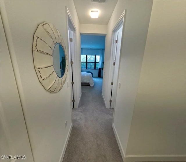 hallway featuring carpet floors