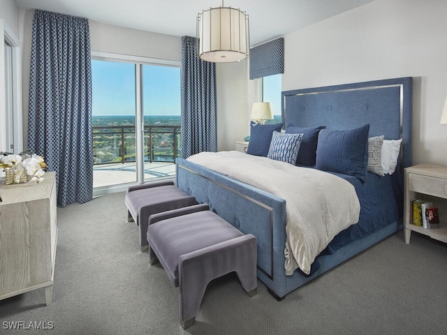 bedroom with carpet flooring and multiple windows